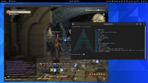 ACT with FF14 & Linux .